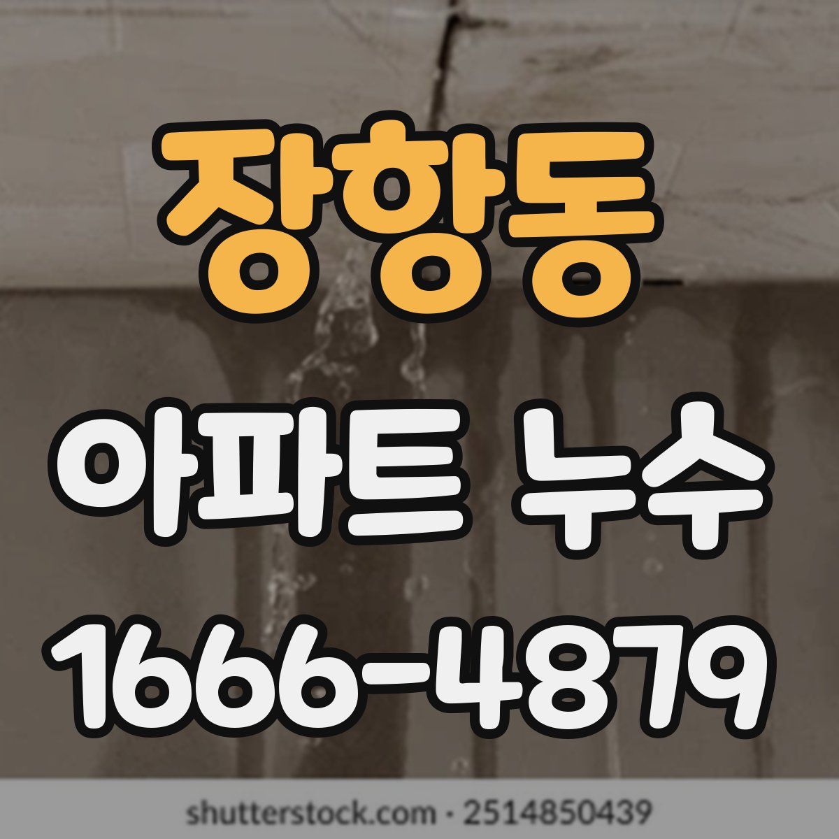 장항동 아파트 누수