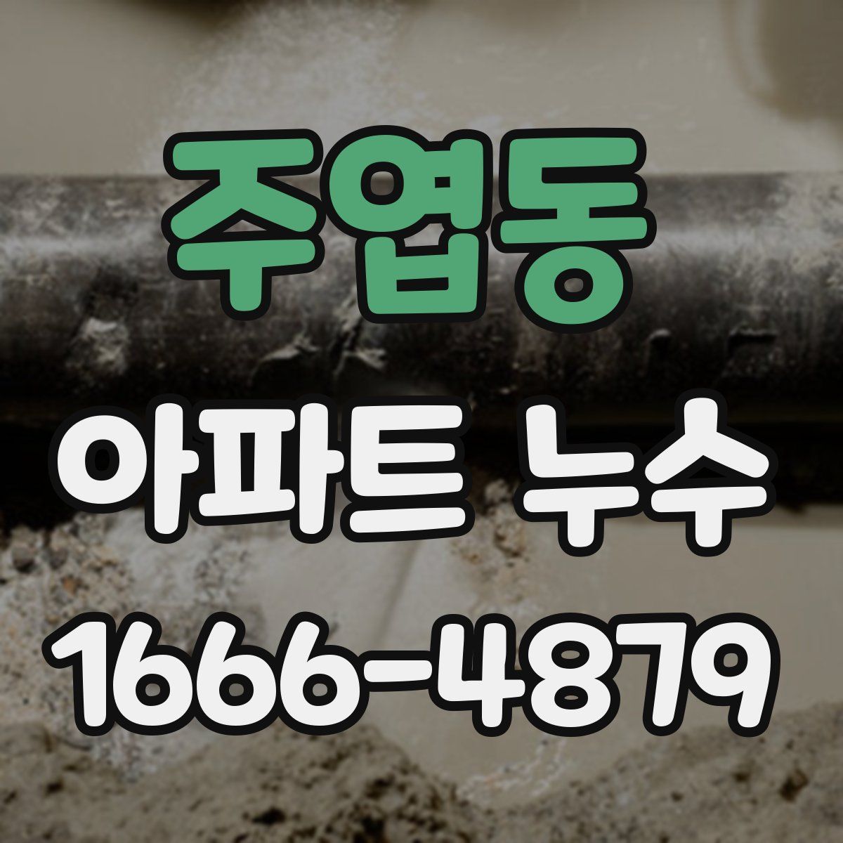 주엽동 아파트 누수