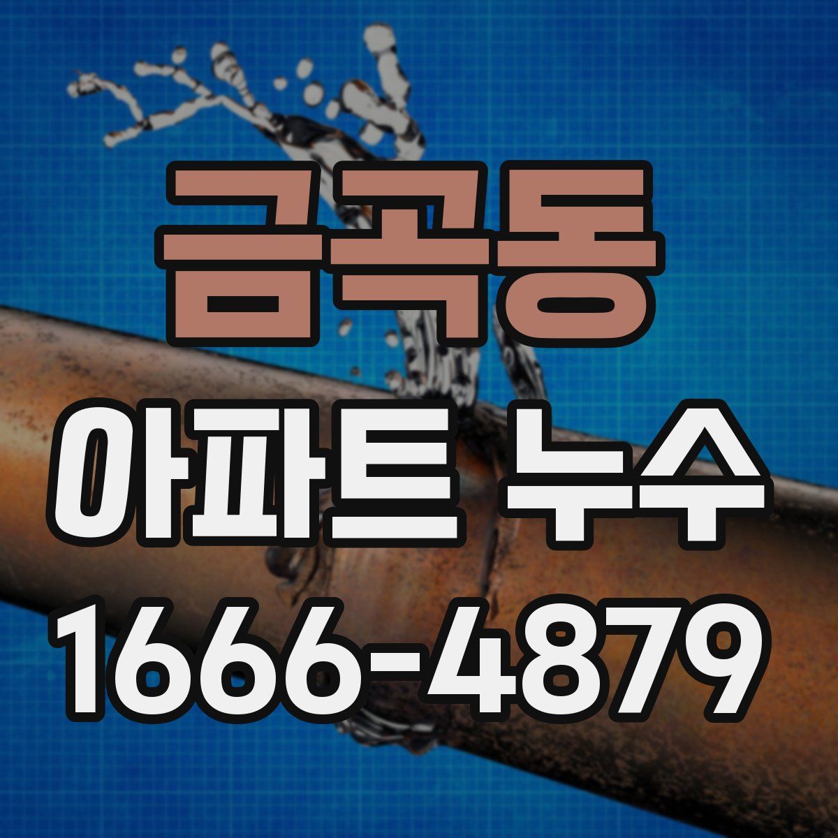 금곡동 아파트 누수