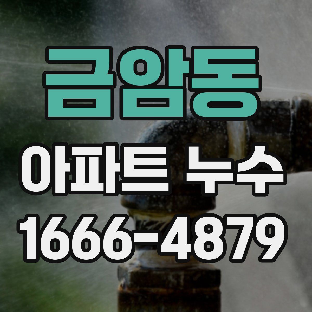 금암동 아파트 누수