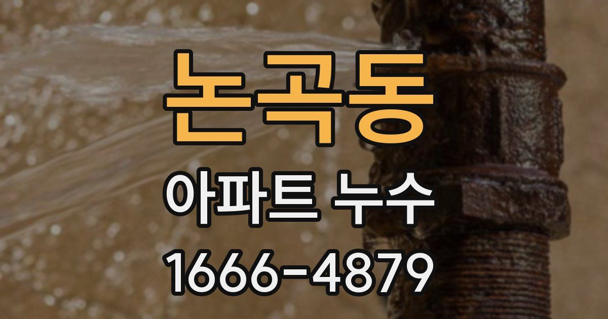 논곡동 아파트 누수