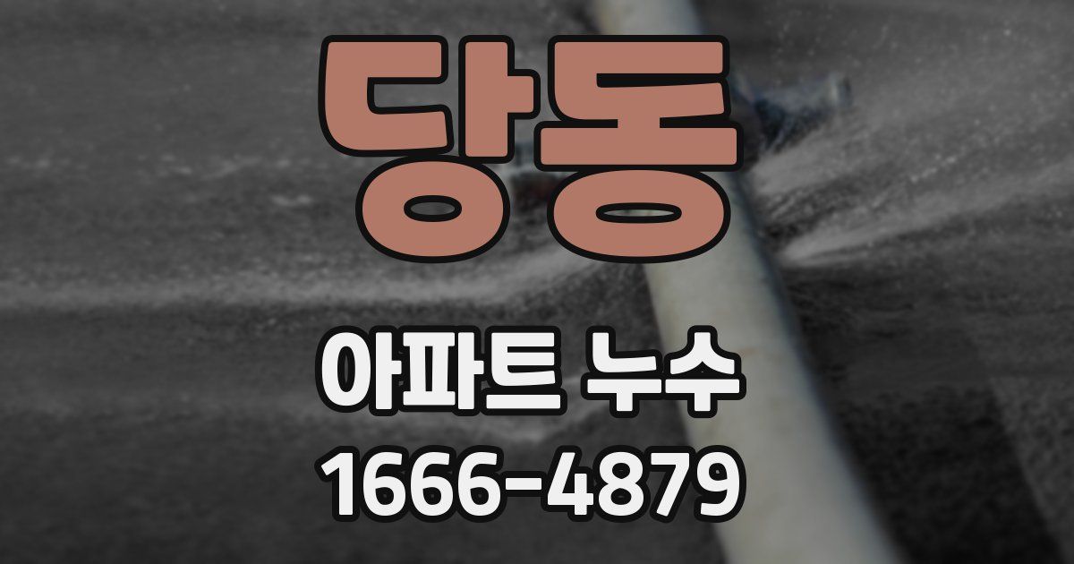 당동 아파트 누수