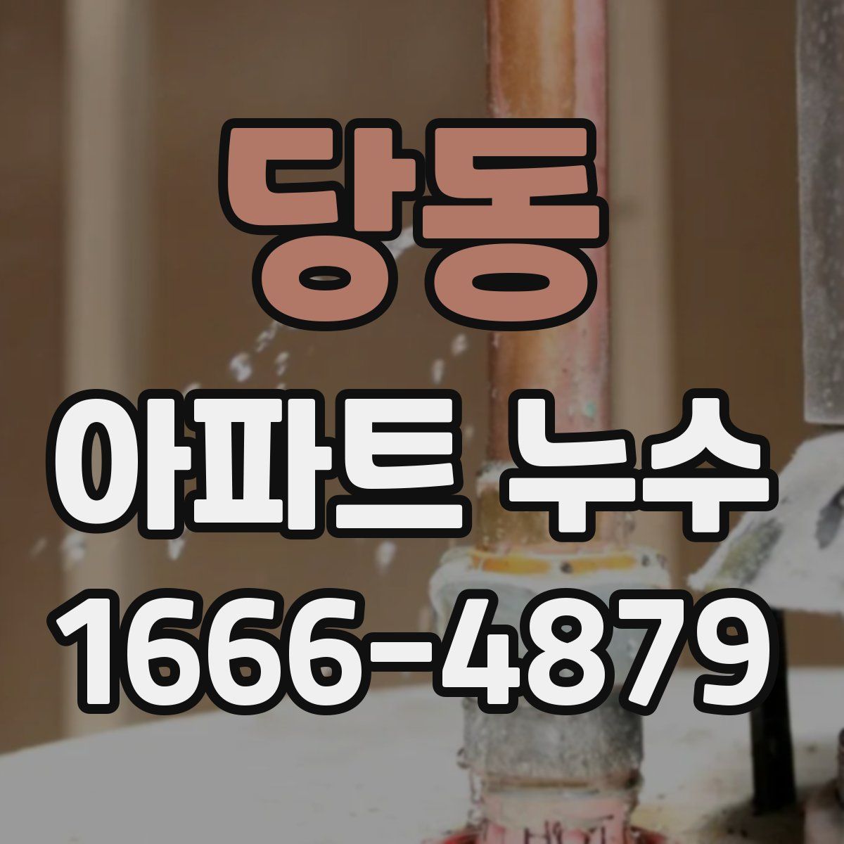 당동 아파트 누수