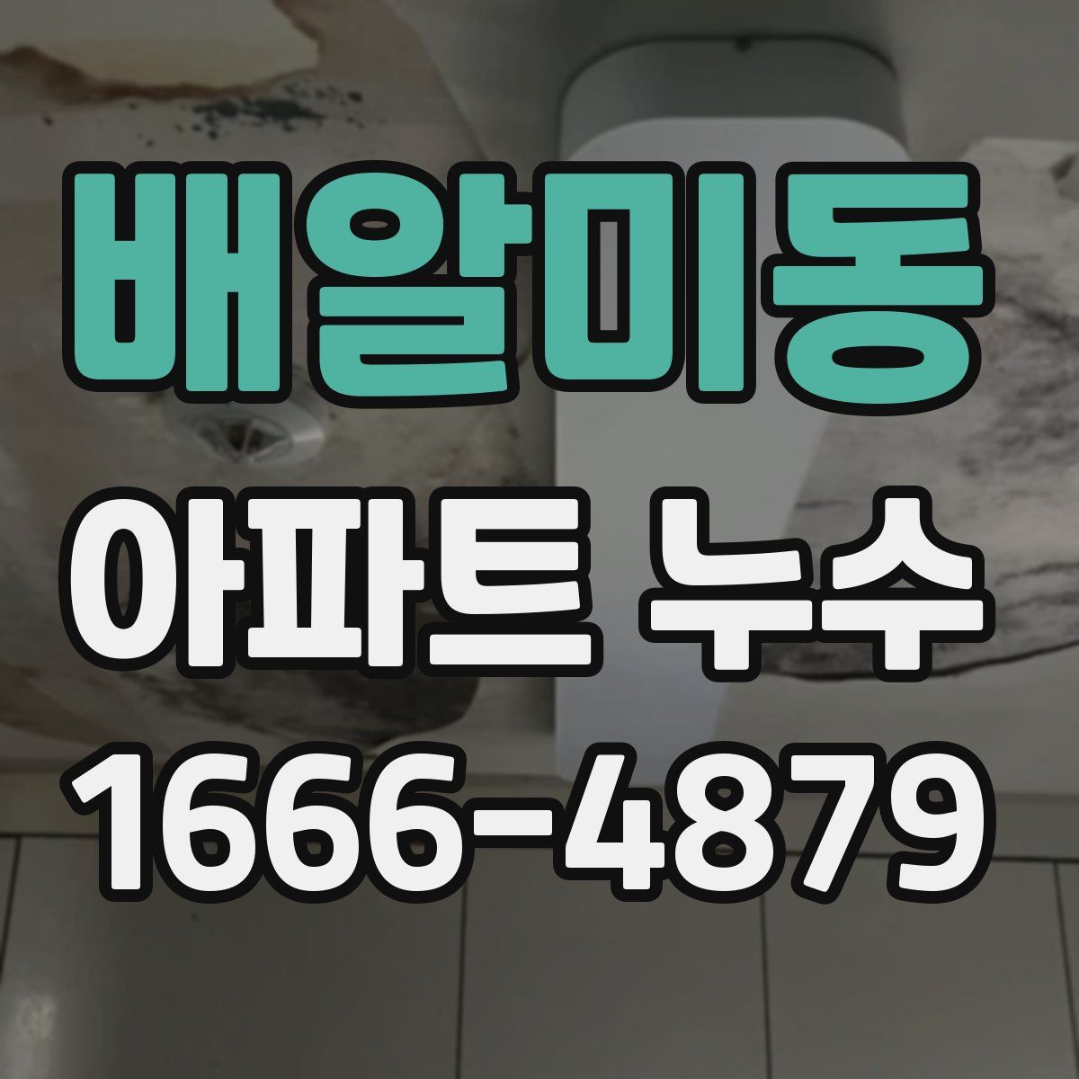배알미동 아파트 누수