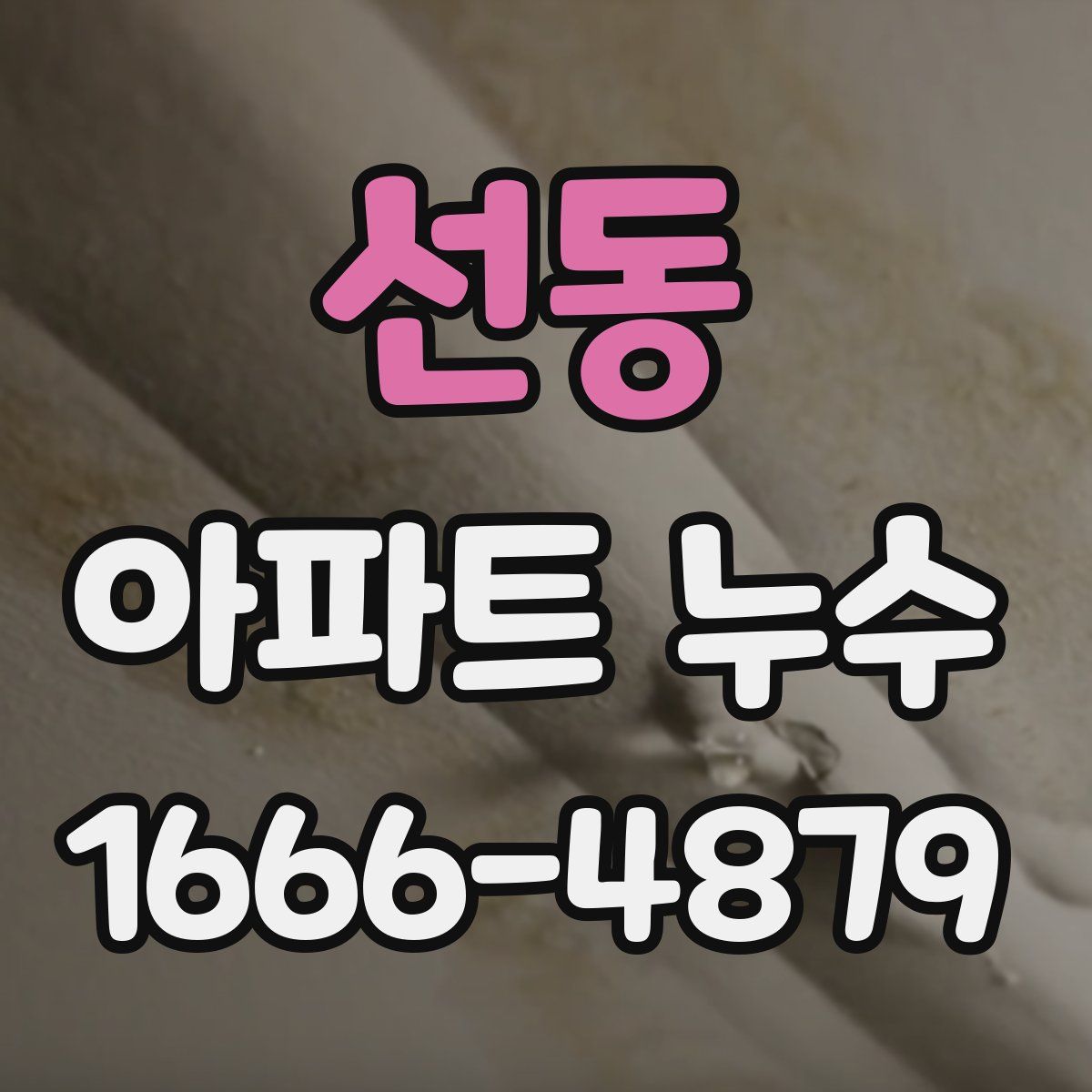 선동 아파트 누수