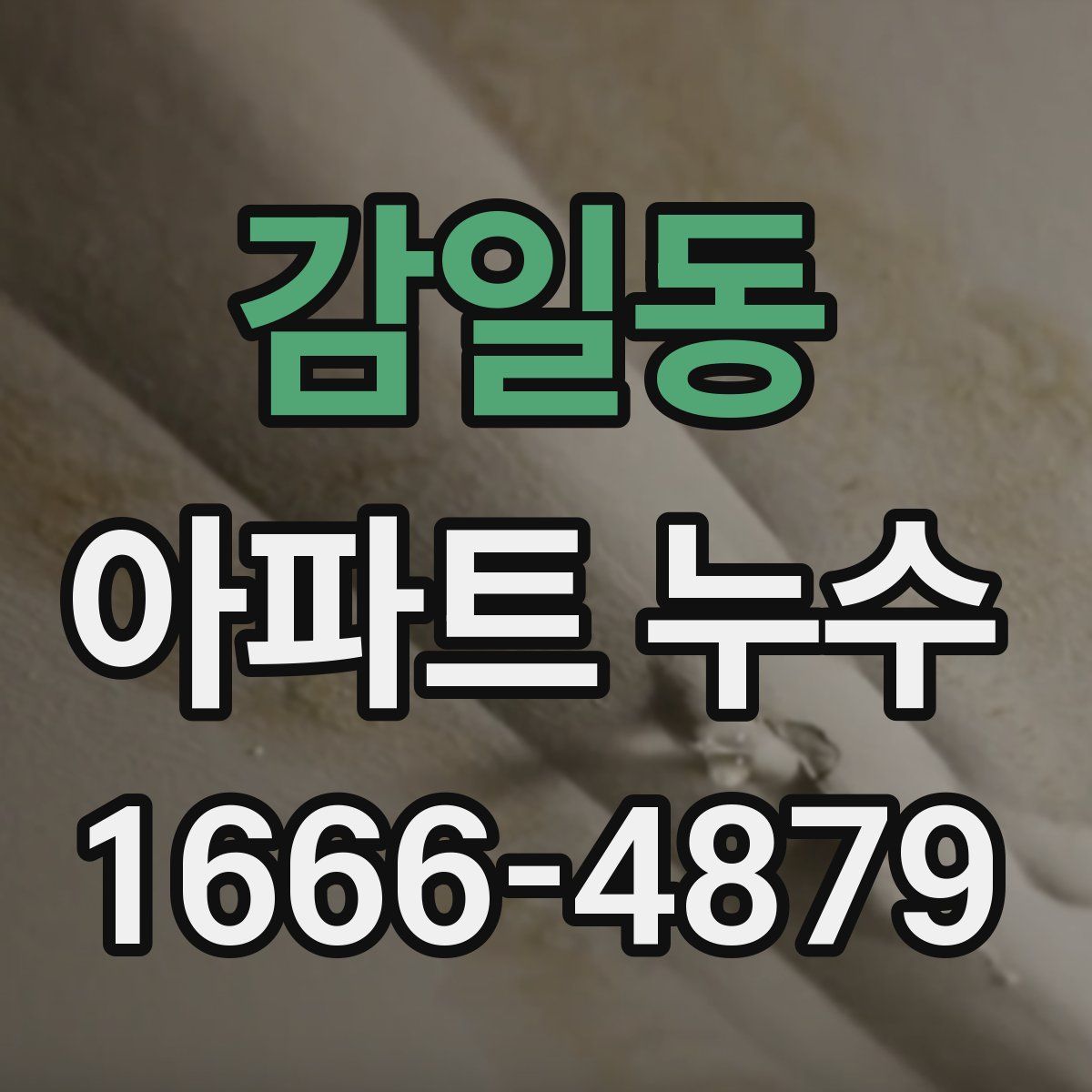 감일동 아파트 누수