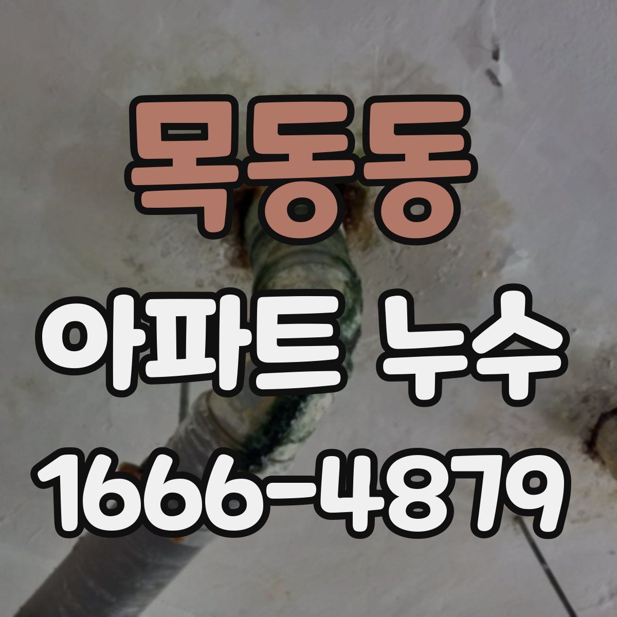 목동동 아파트 누수