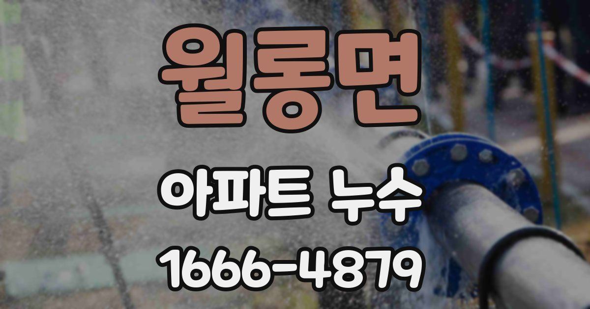 월롱면 아파트 누수