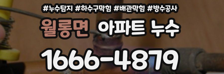 월롱면 아파트 누수
