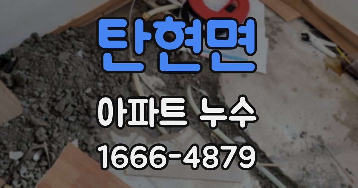 탄현면 아파트 누수