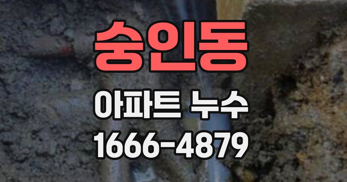 숭인동 아파트 누수
