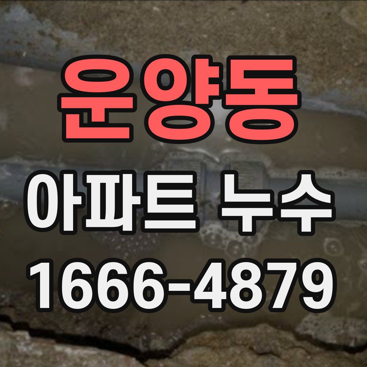 운양동 아파트 누수