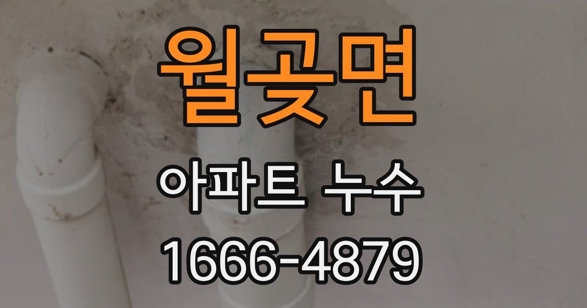 월곶면 아파트 누수