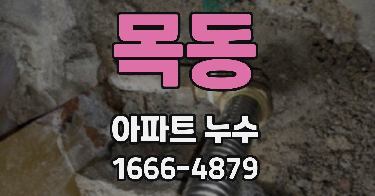 목동 아파트 누수