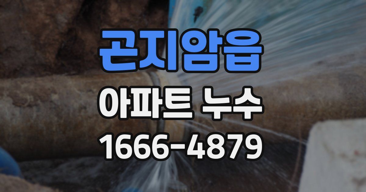 곤지암읍 아파트 누수