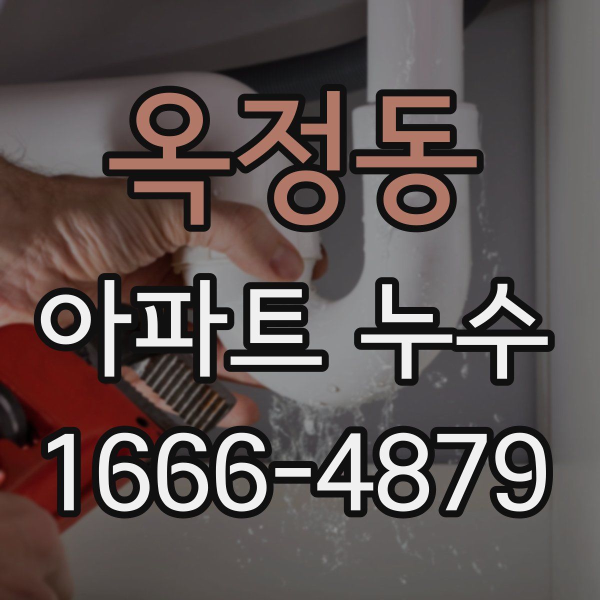 옥정동 아파트 누수