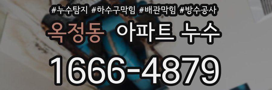 옥정동 아파트 누수