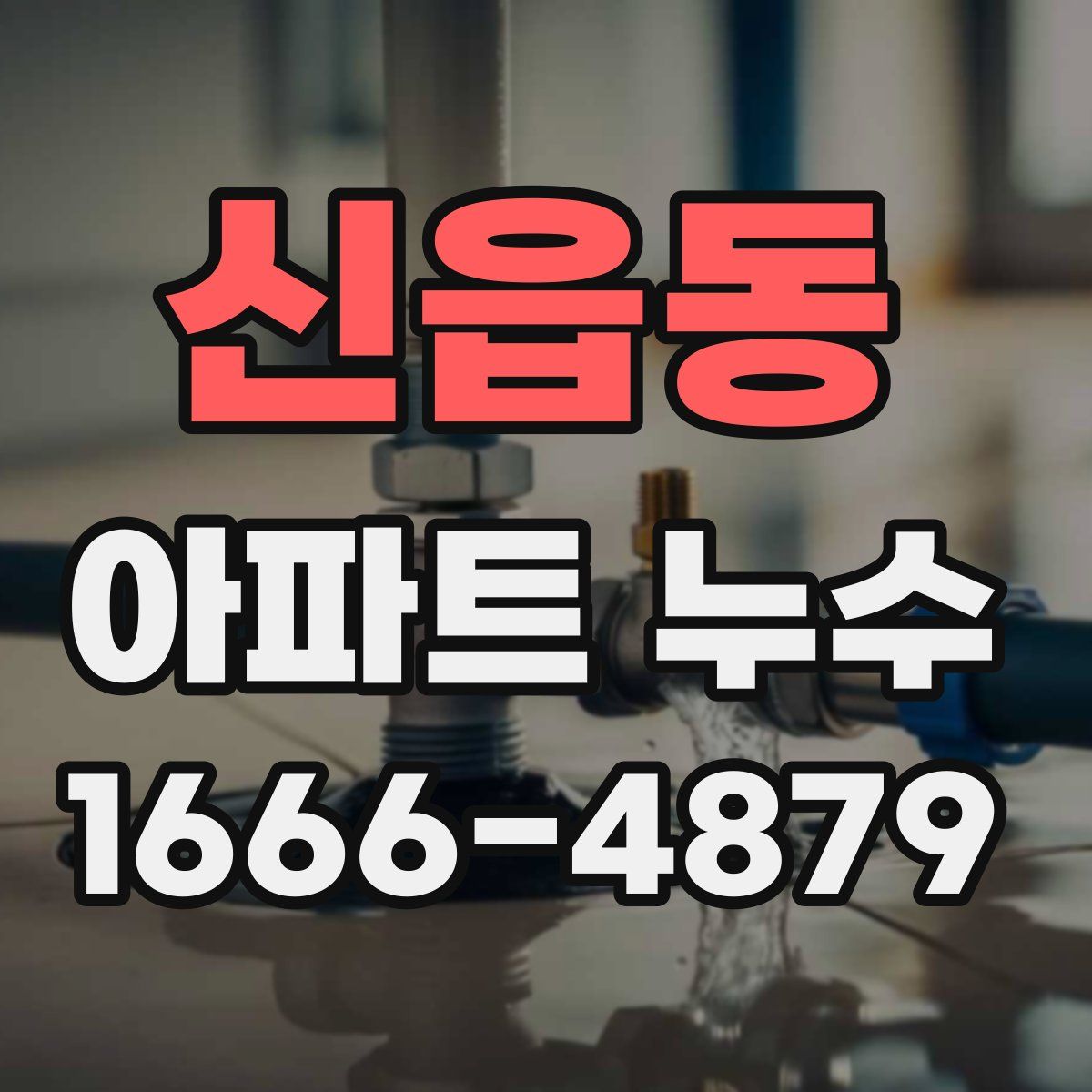 신읍동 아파트 누수