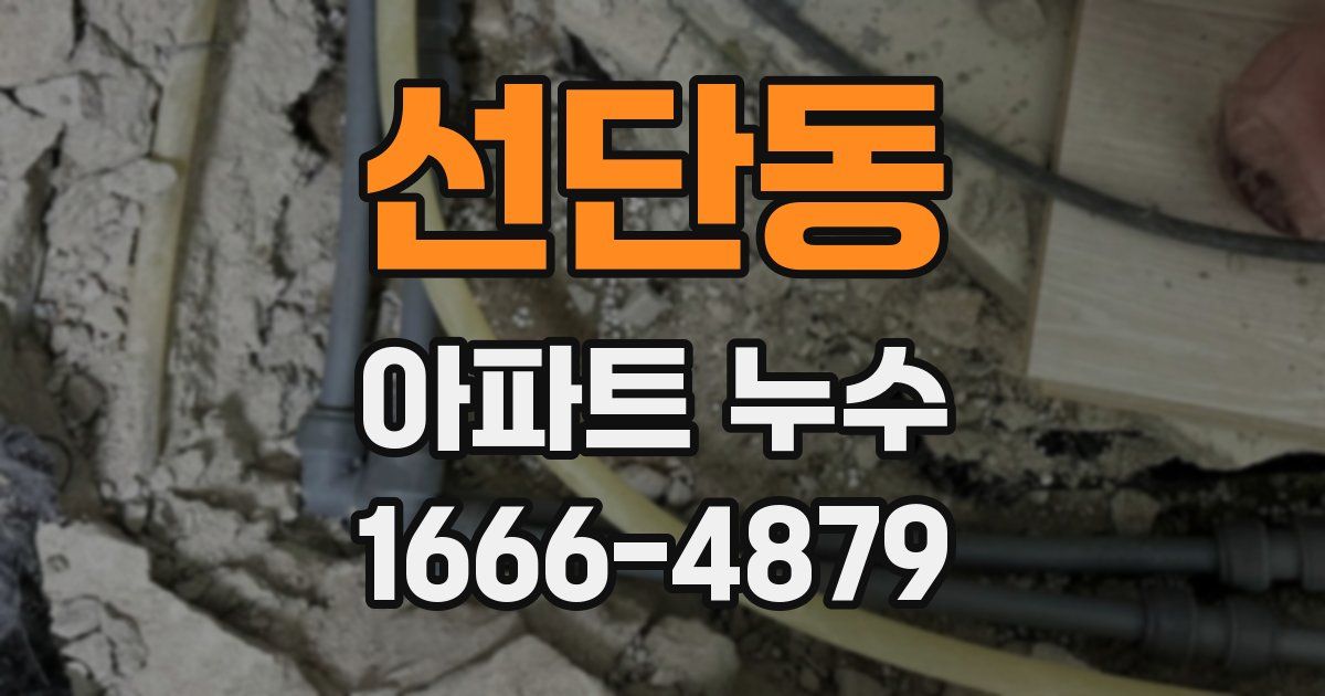 선단동 아파트 누수