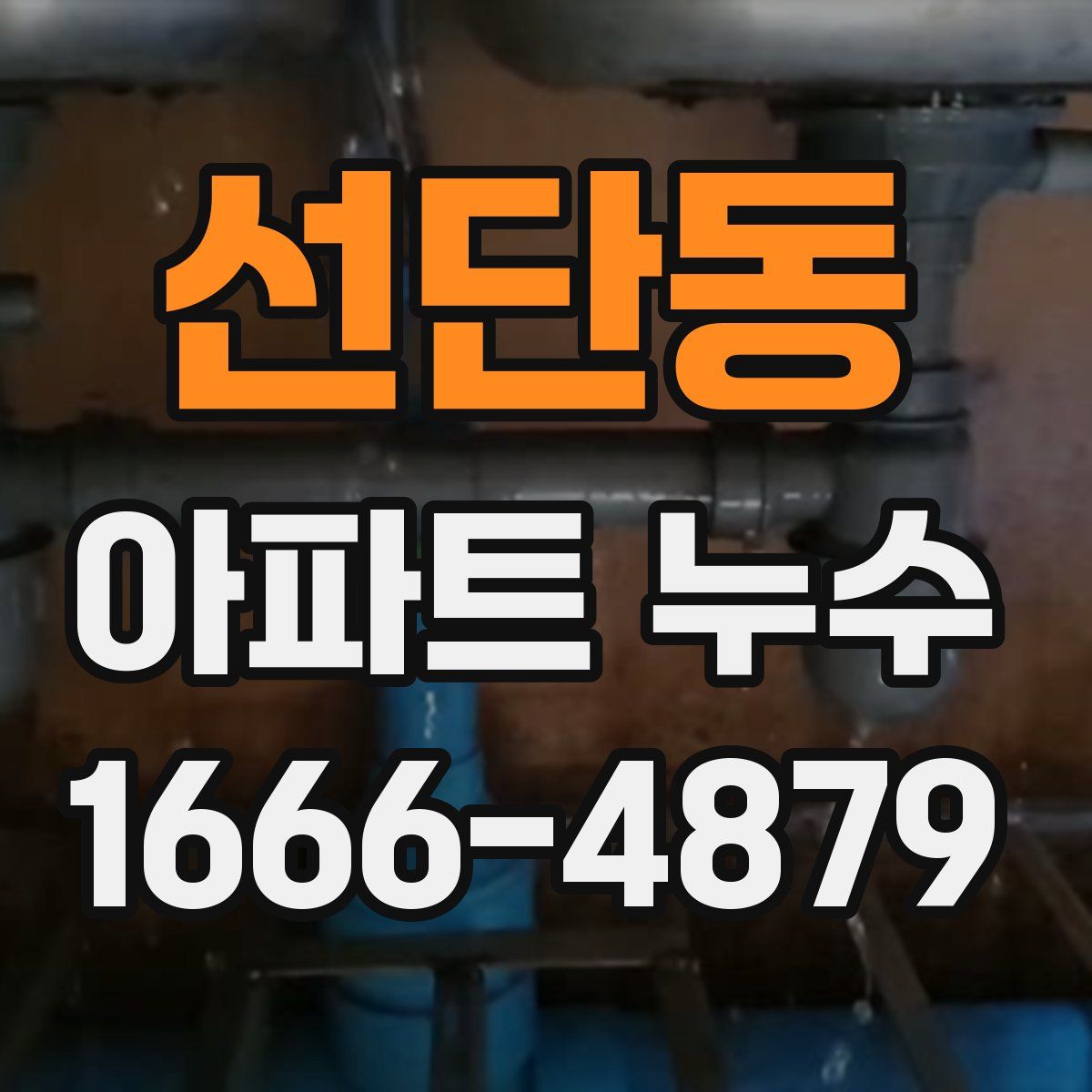 선단동 아파트 누수