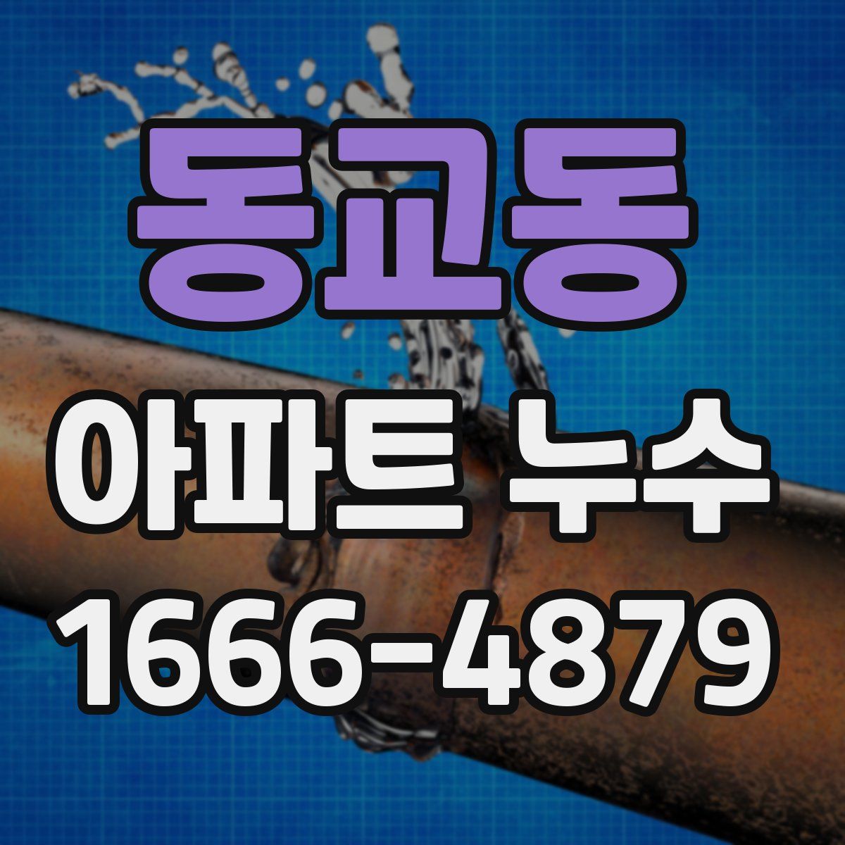 동교동 아파트 누수