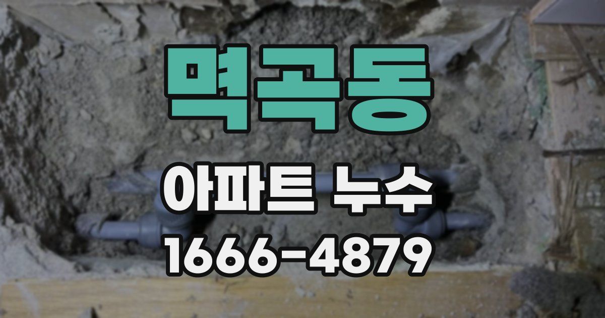 멱곡동 아파트 누수