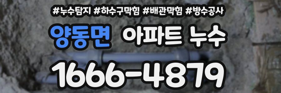 양동면 아파트 누수