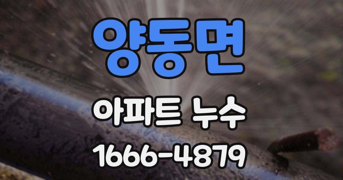 양동면 아파트 누수