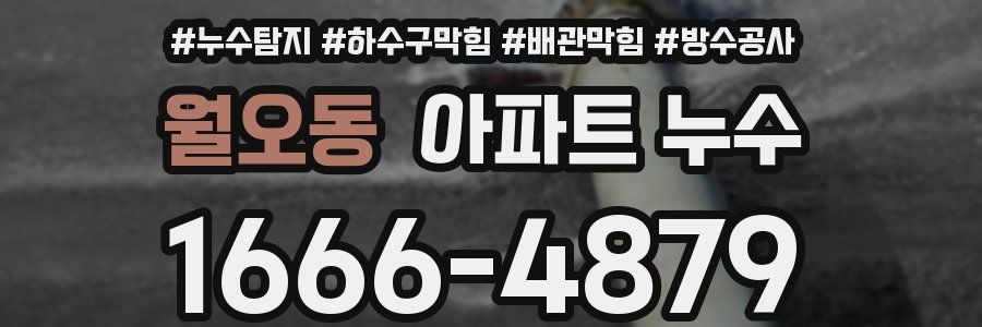 월오동 아파트 누수
