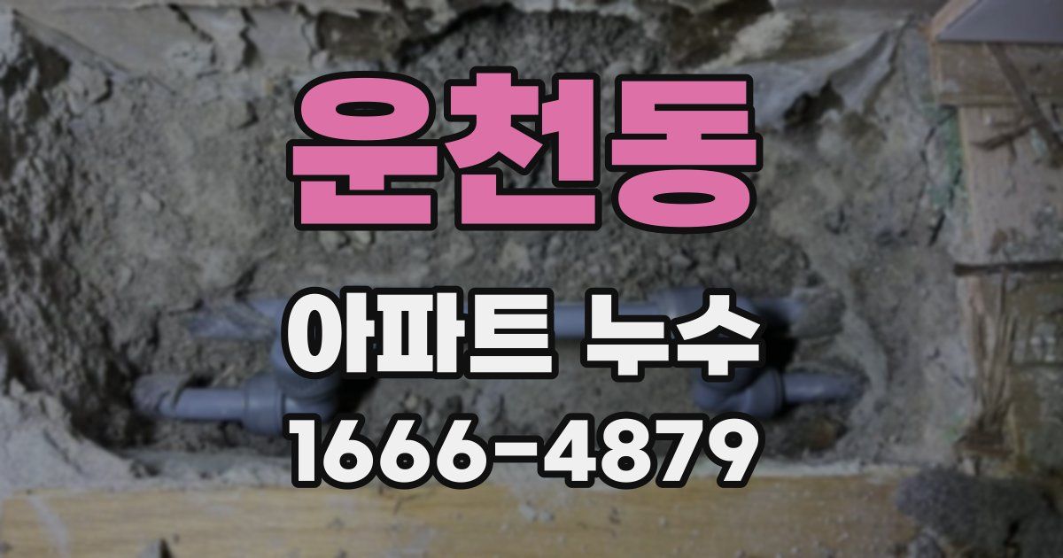 운천동 아파트 누수