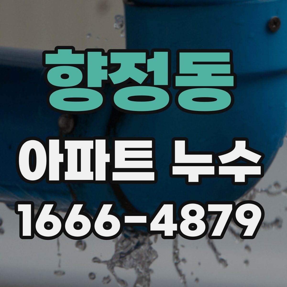 향정동 아파트 누수