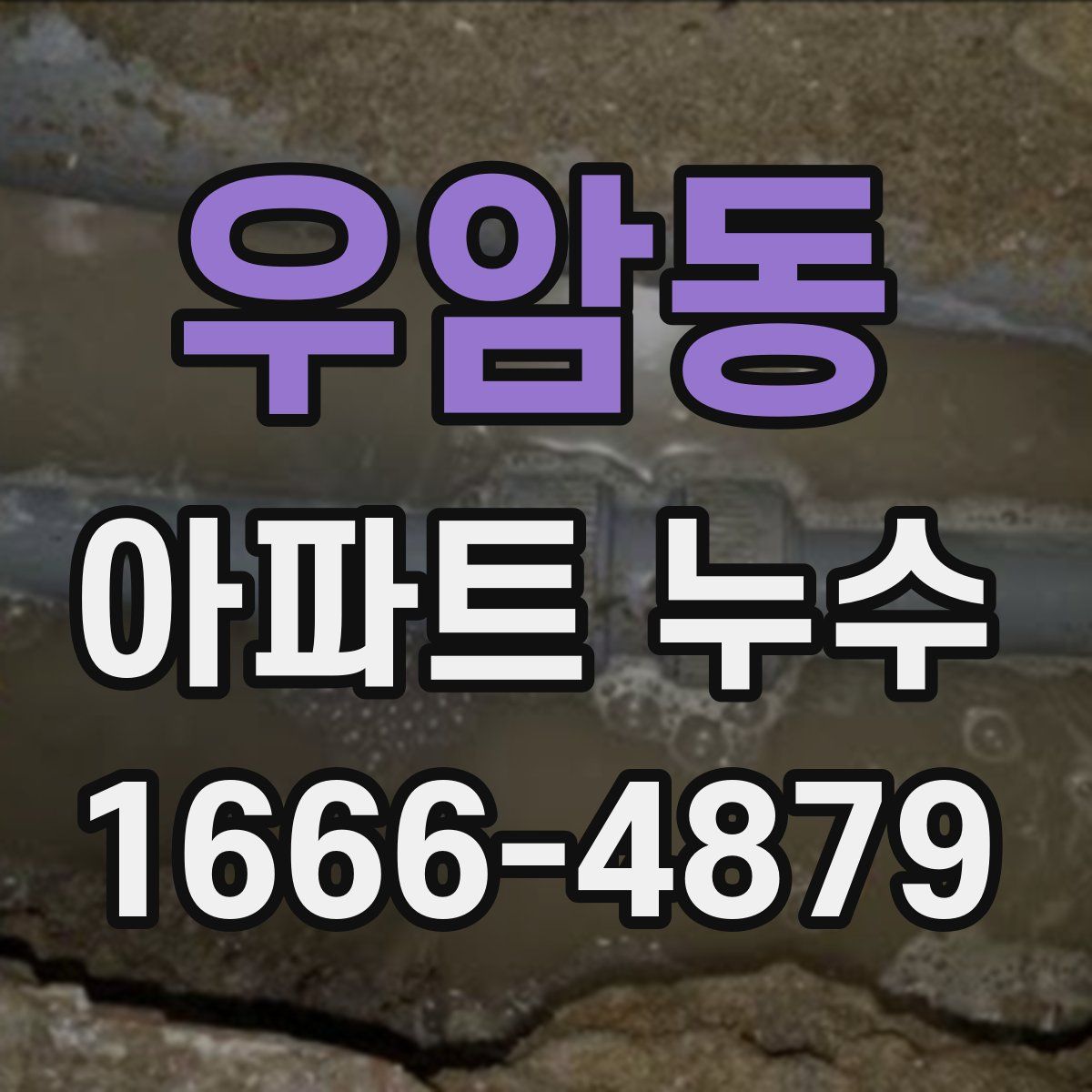 우암동 아파트 누수