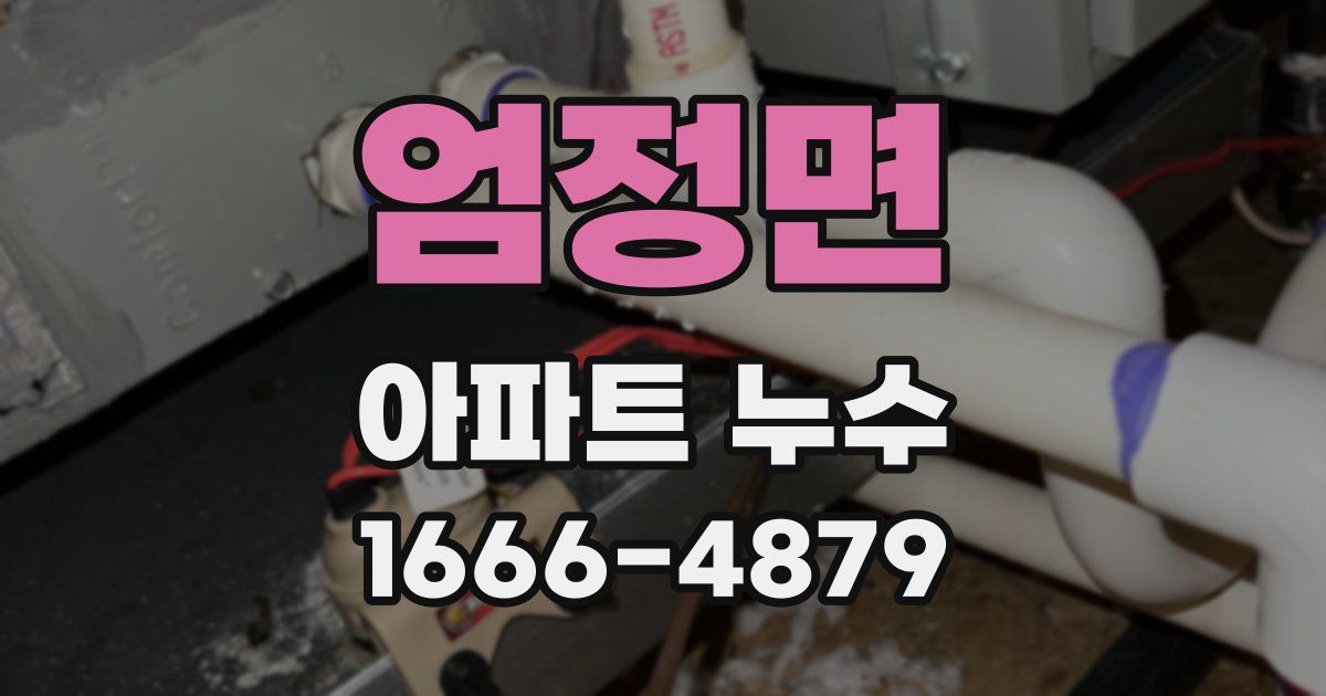 엄정면 아파트 누수
