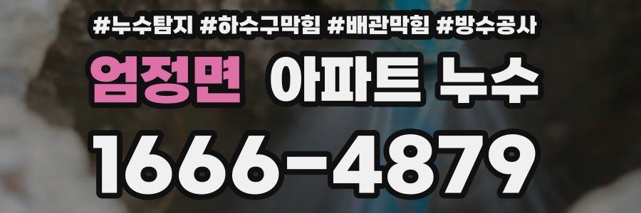 엄정면 아파트 누수