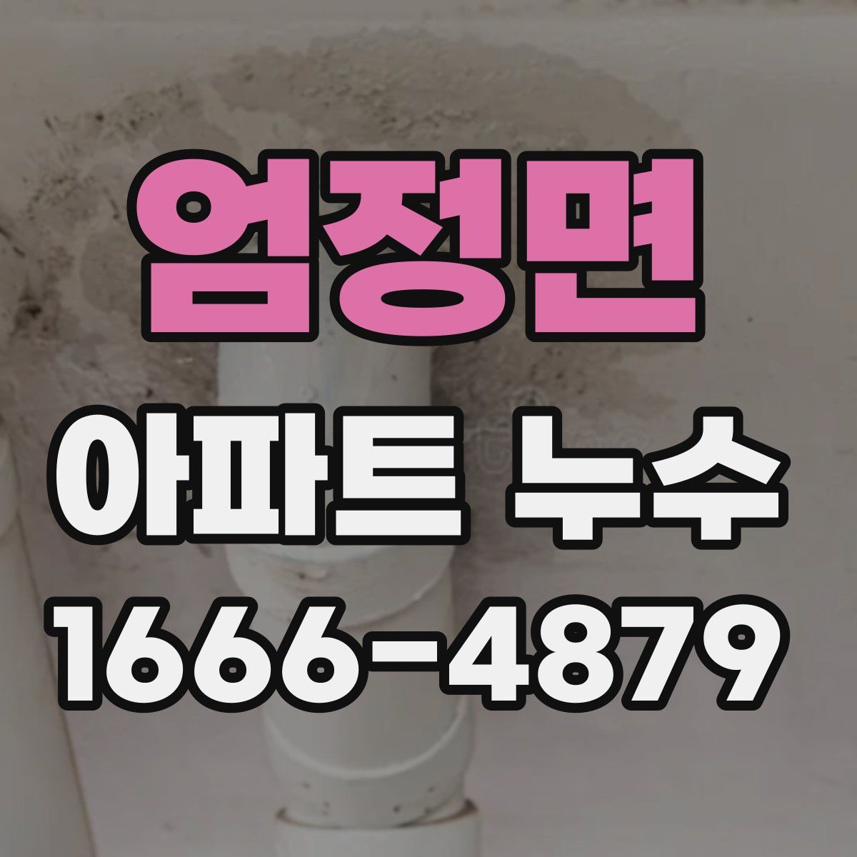 엄정면 아파트 누수
