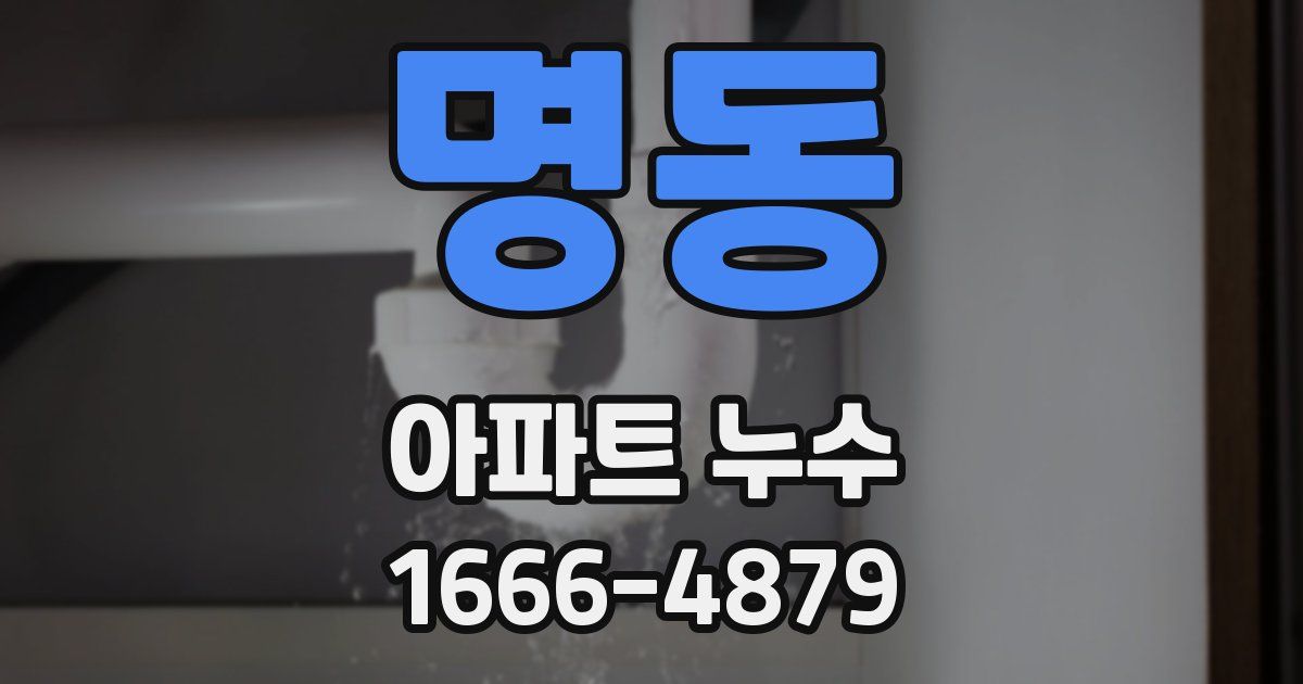 명동 아파트 누수