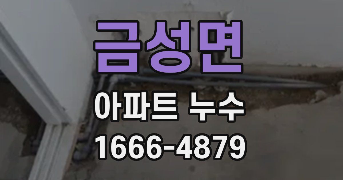 금성면 아파트 누수