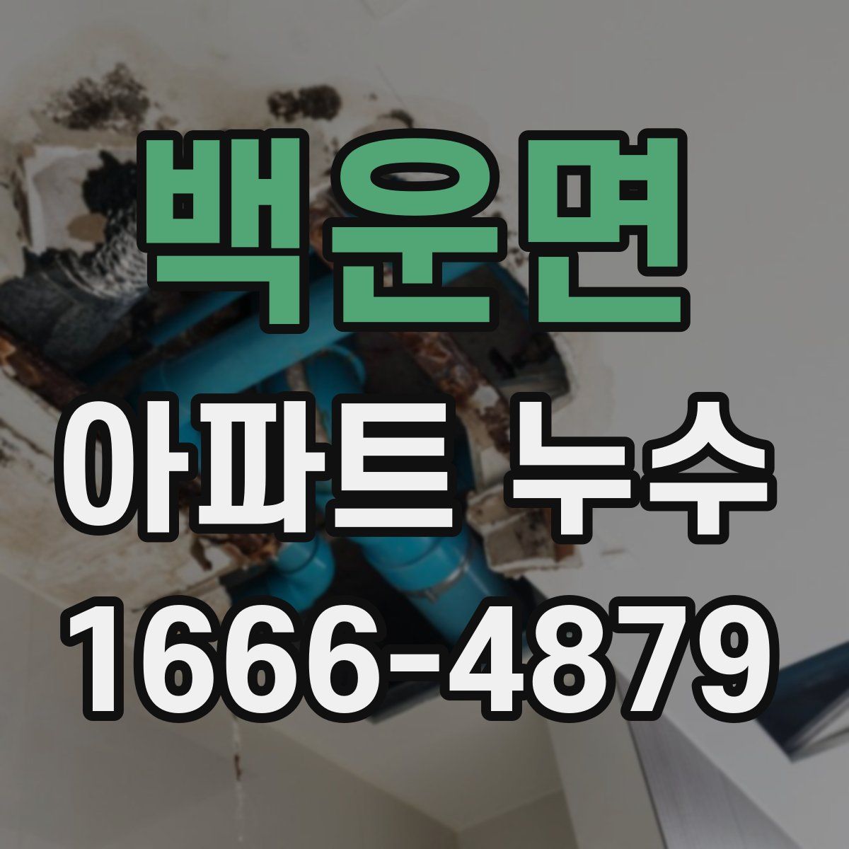 백운면 아파트 누수