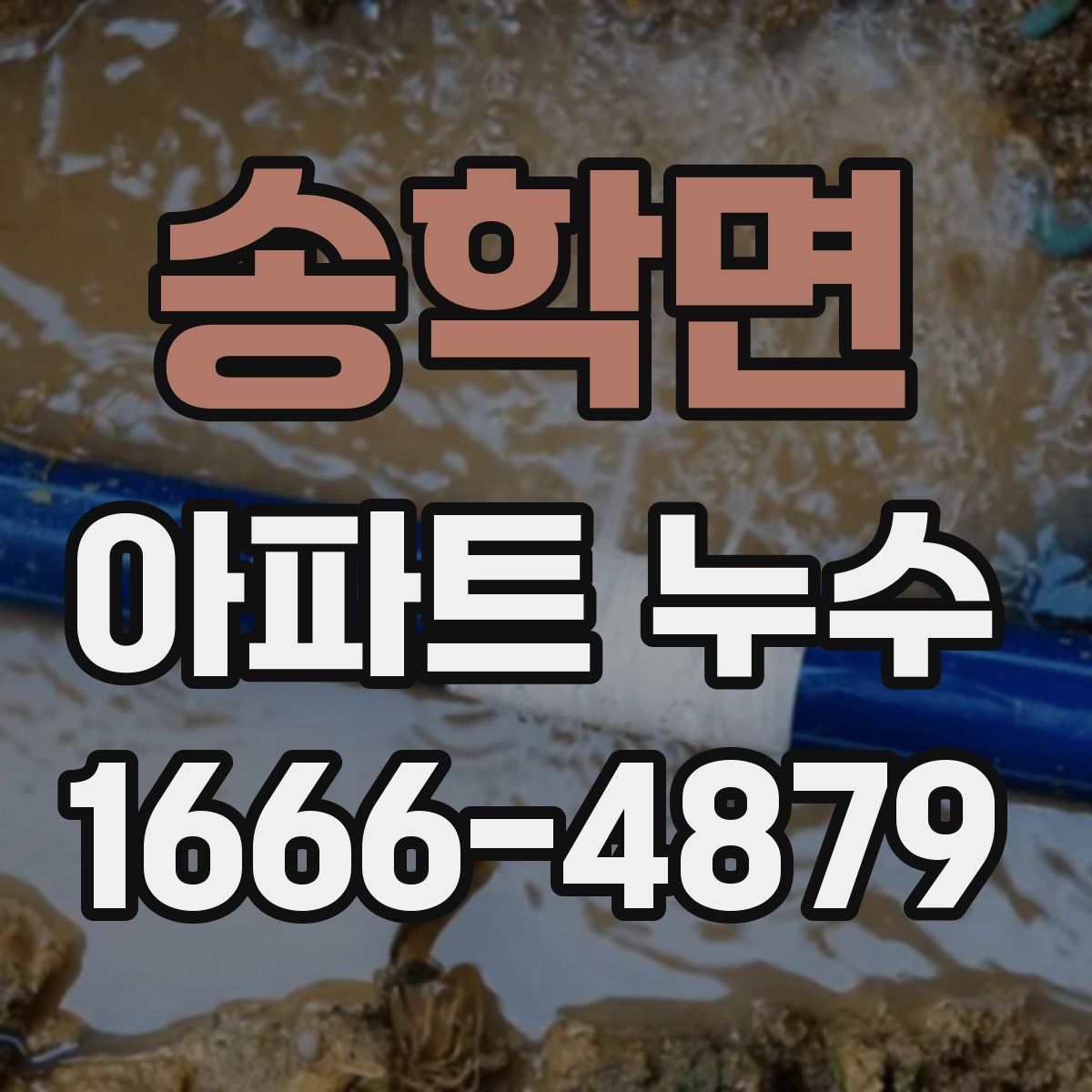 송학면 아파트 누수