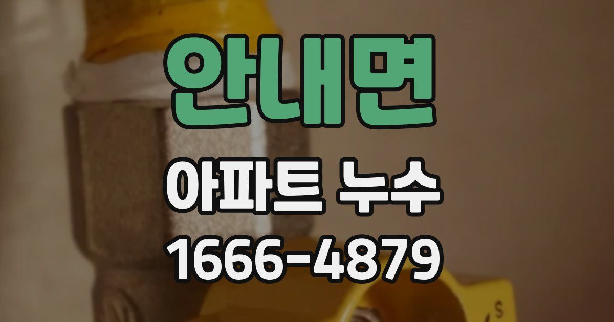 안내면 아파트 누수