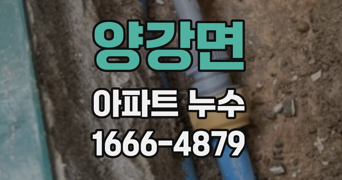 양강면 아파트 누수