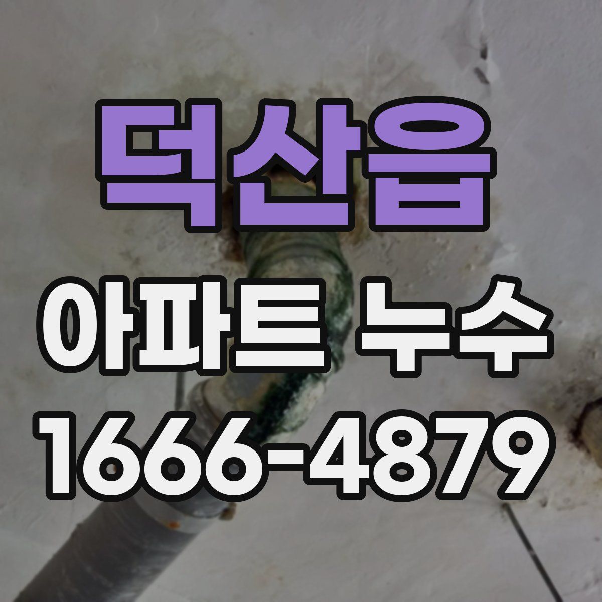 덕산읍 아파트 누수