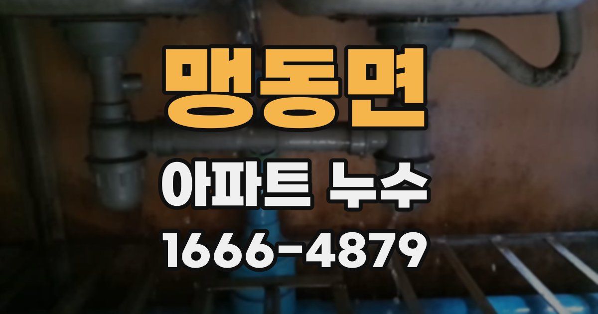 맹동면 아파트 누수