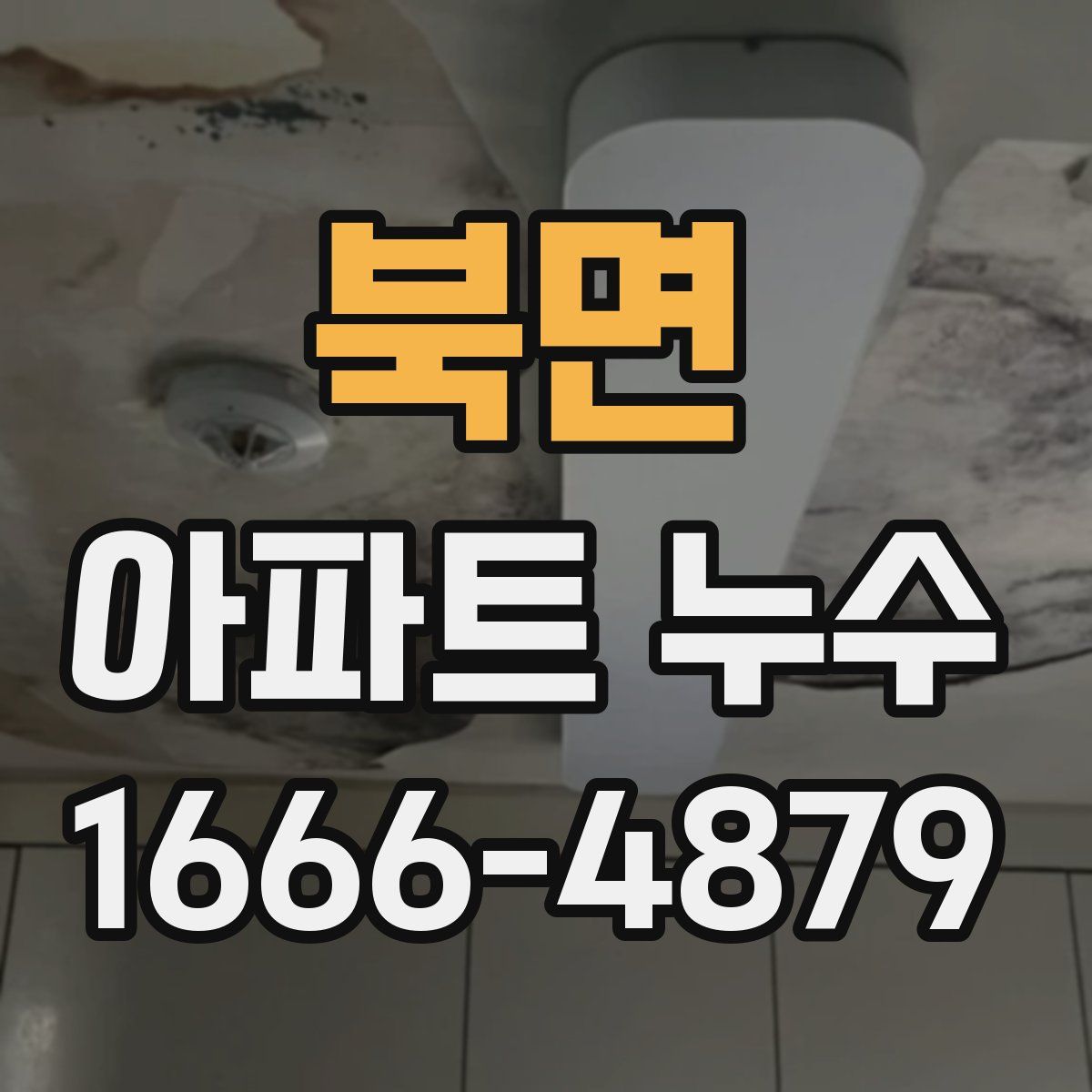 북면 아파트 누수