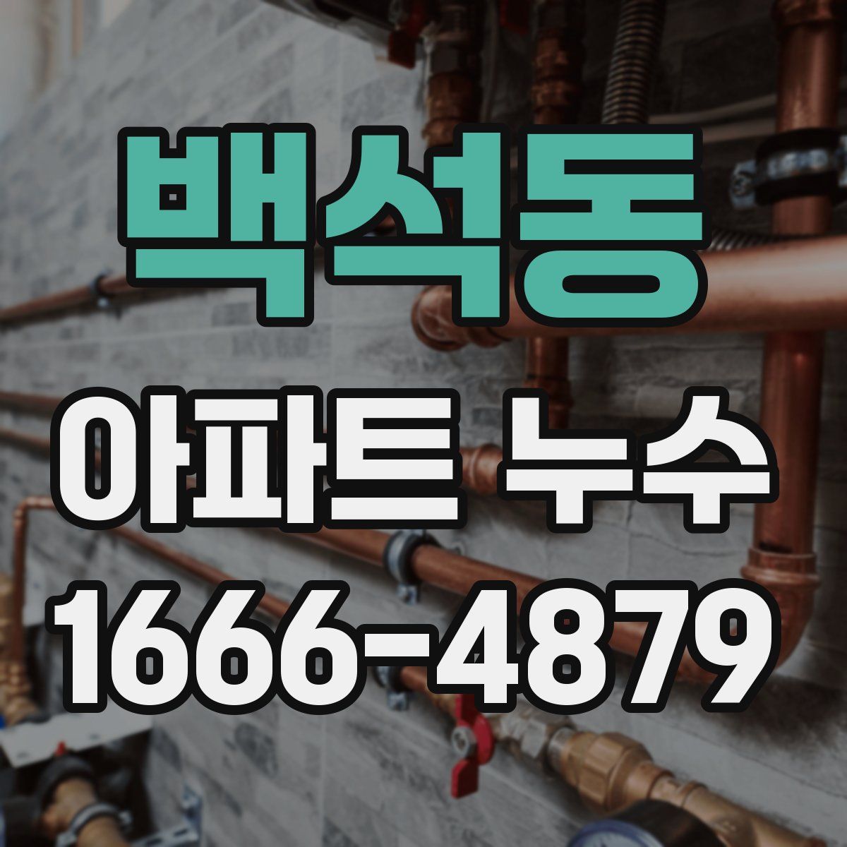 백석동 아파트 누수