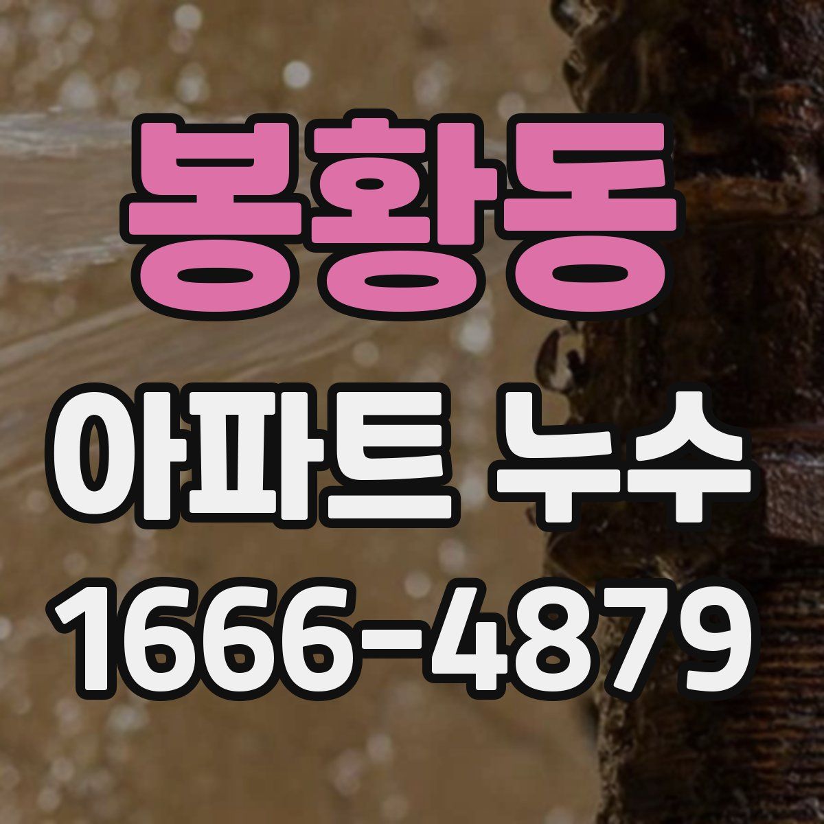 봉황동 아파트 누수