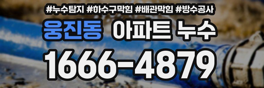 웅진동 아파트 누수
