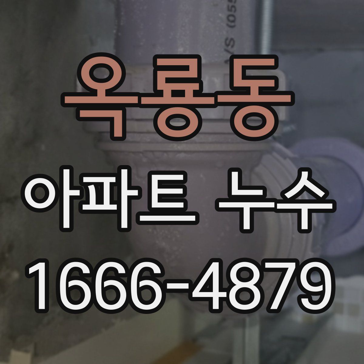옥룡동 아파트 누수