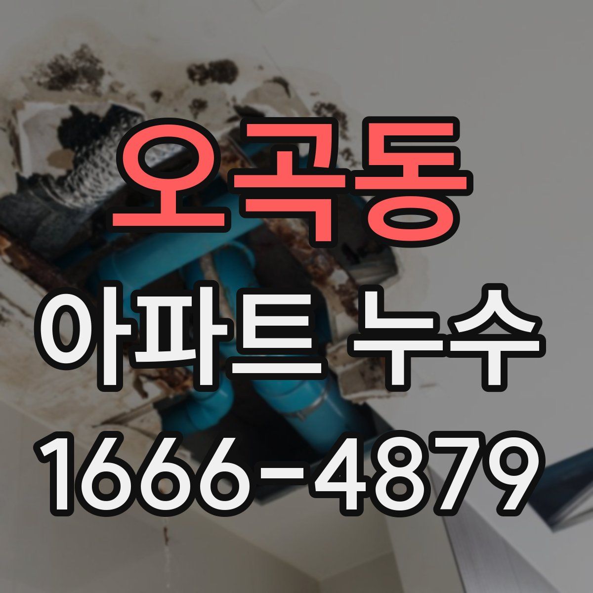 오곡동 아파트 누수