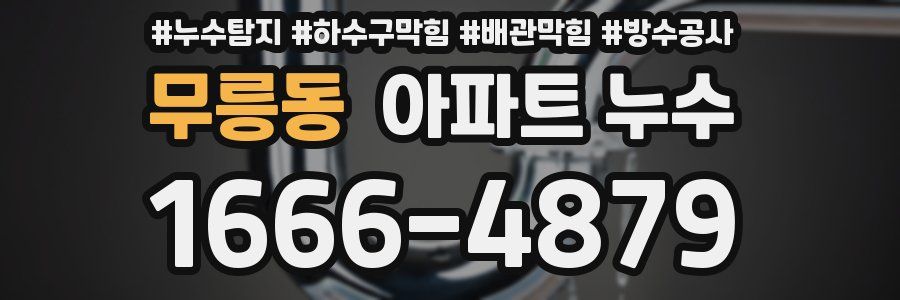 무릉동 아파트 누수